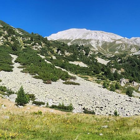 Apartmanica Double Room Apartment With Balcony 101-30 St Ivan Rilski Spa Resort Bansko Buitenkant foto